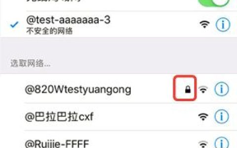 无线wifi信号旁有一把锁是什么意思？