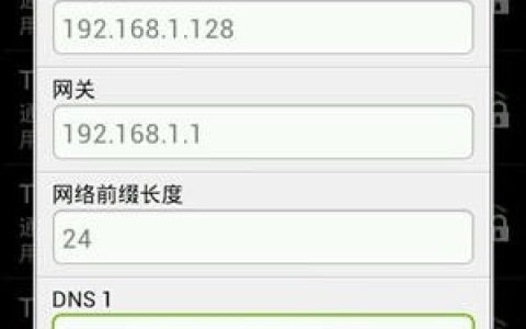 把手机设置成静态IP地址该如何设置上网