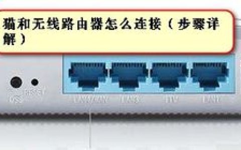 无线路由器如何与光纤猫连接上网详细图解